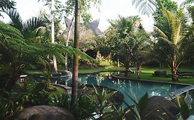 Green Tree House Villa Ubud